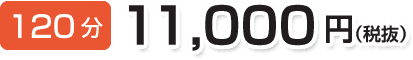 120分 11,000円(税抜)